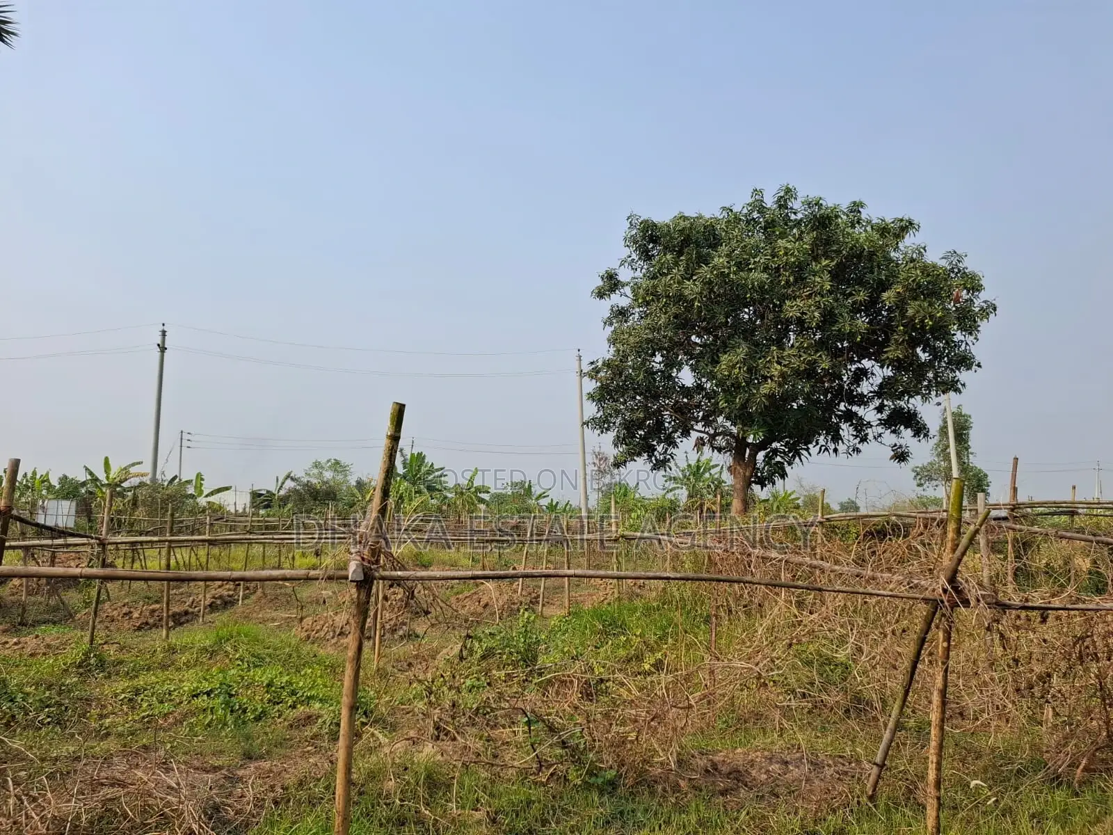 RAJUK PURBACHAL SECTOR 23 LAND 3 KATHA in Purbachal