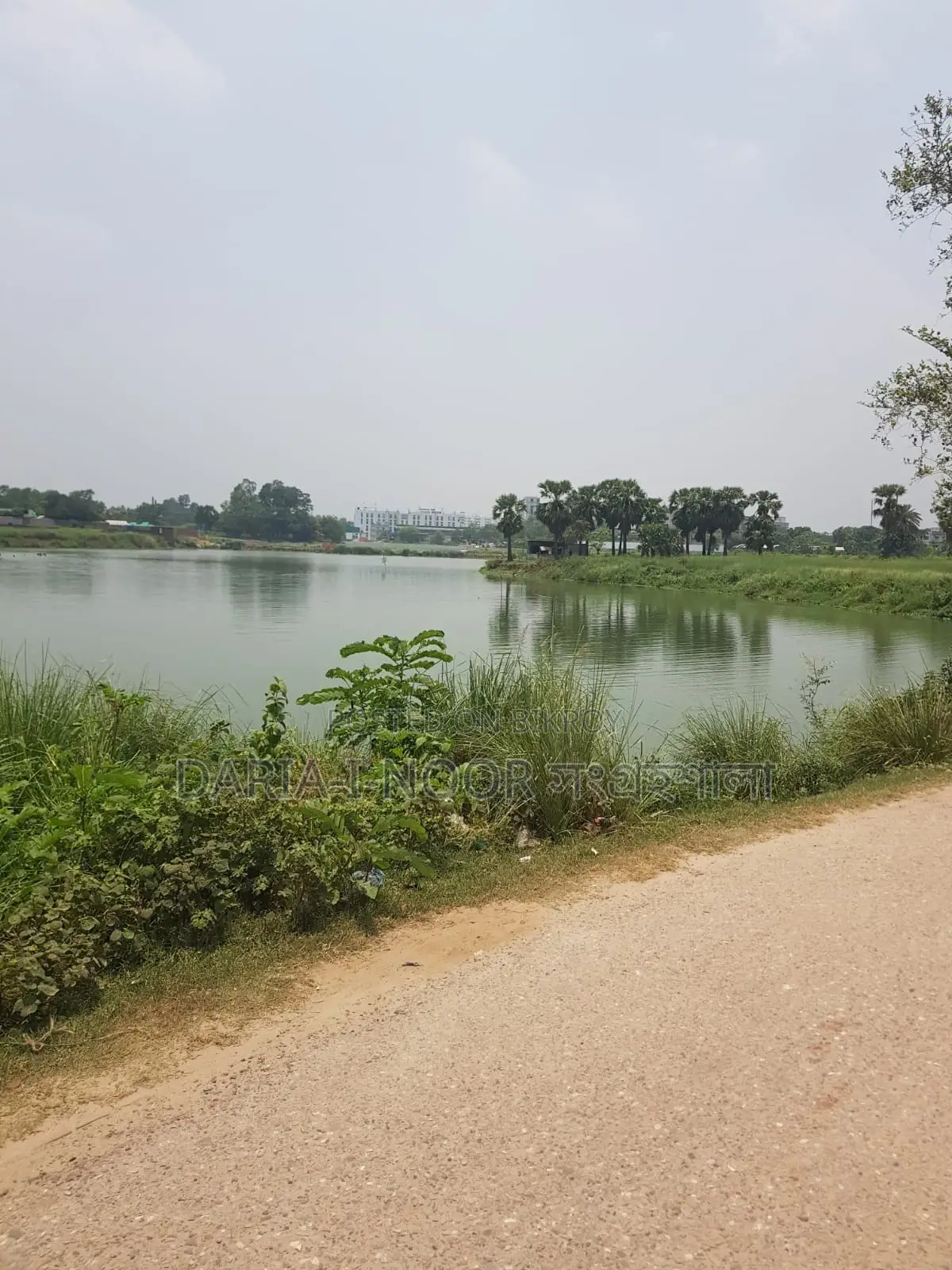 36 Bigha land for sale in one plot near Smriti Soudho, Dhaka-Savar Highway in Savar