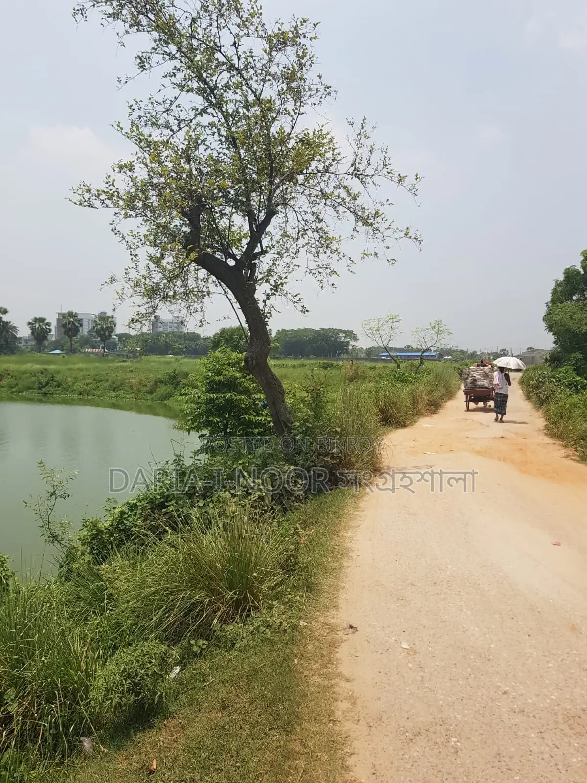 36 Bigha land for sale in one plot near Smriti Soudho, Dhaka-Savar Highway in Savar