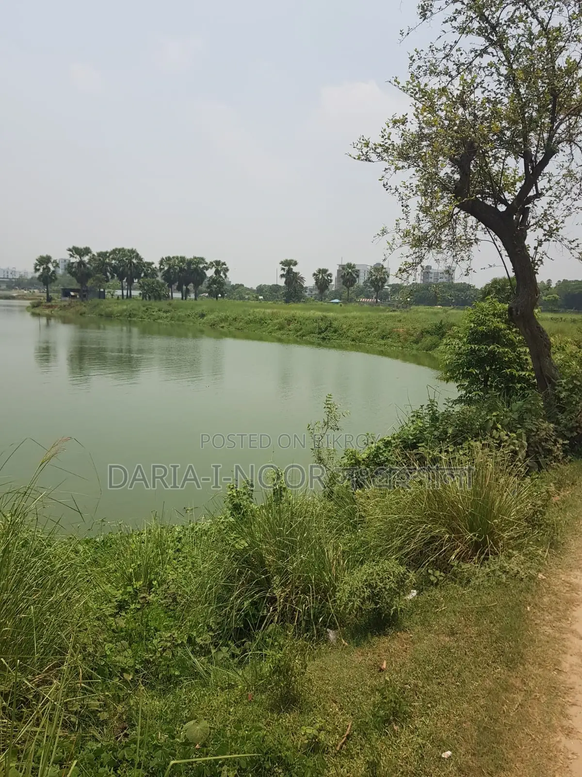 36 Bigha land for sale in one plot near Smriti Soudho, Dhaka-Savar Highway in Savar