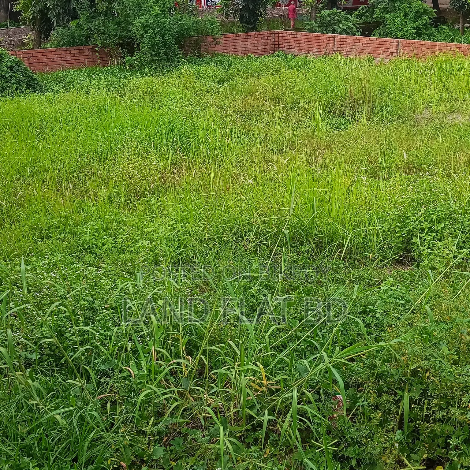 South-Facing 100% Ready-to-Build 3.66 Katha Plot for Sale in Mohammadpur