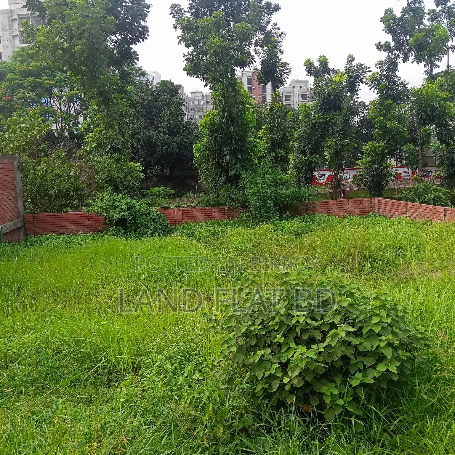 South-Facing 100% Ready-to-Build 3.66 Katha Plot for Sale in Mohammadpur
