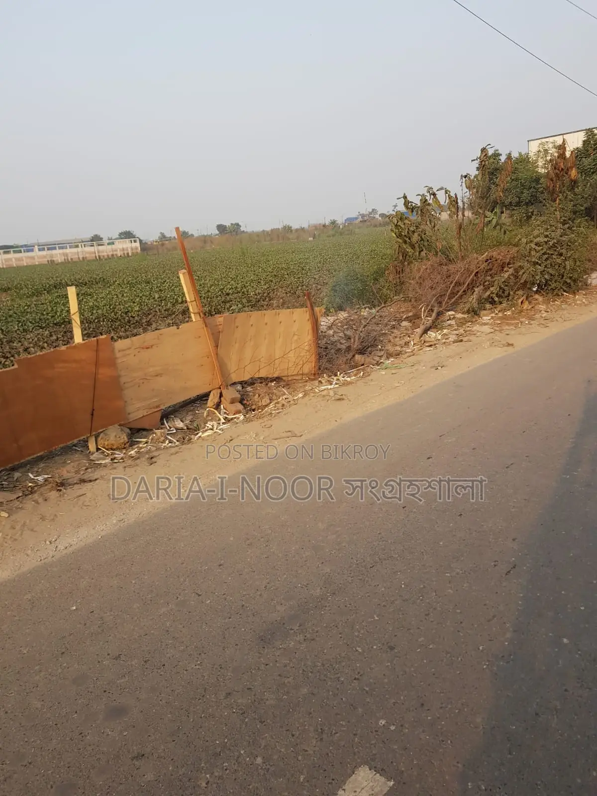 20 Bigha land for sale in one plot near Smriti Soudho, Dhaka-Savar Highway in Savar