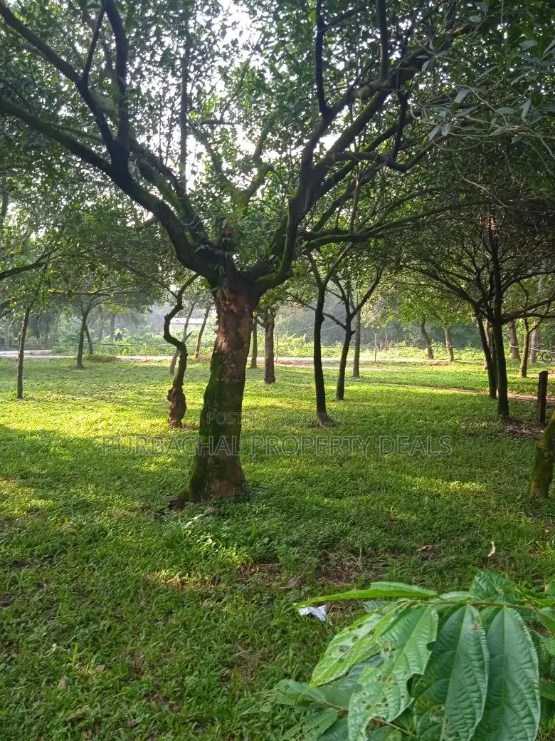 Purbachal Nature Estate — Where Luxury Meets Nature in Purbachal