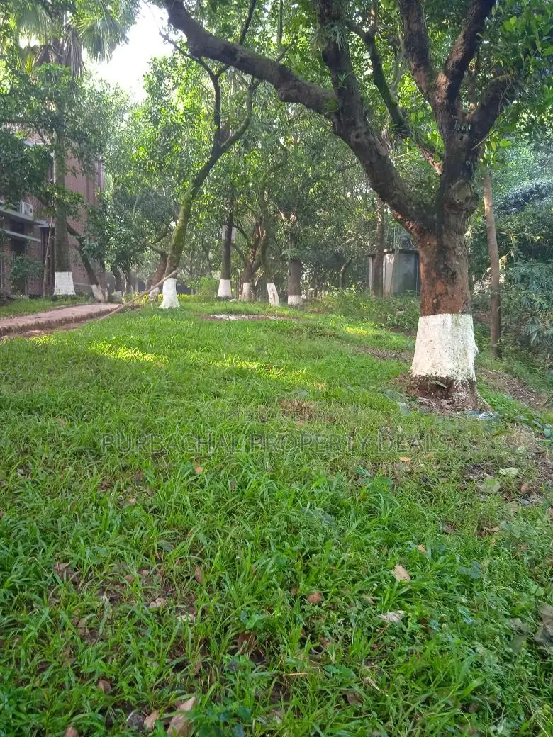 Purbachal Nature Estate — Where Luxury Meets Nature in Purbachal