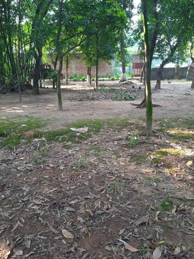 Purbachal Nature Estate — Where Luxury Meets Nature in Purbachal