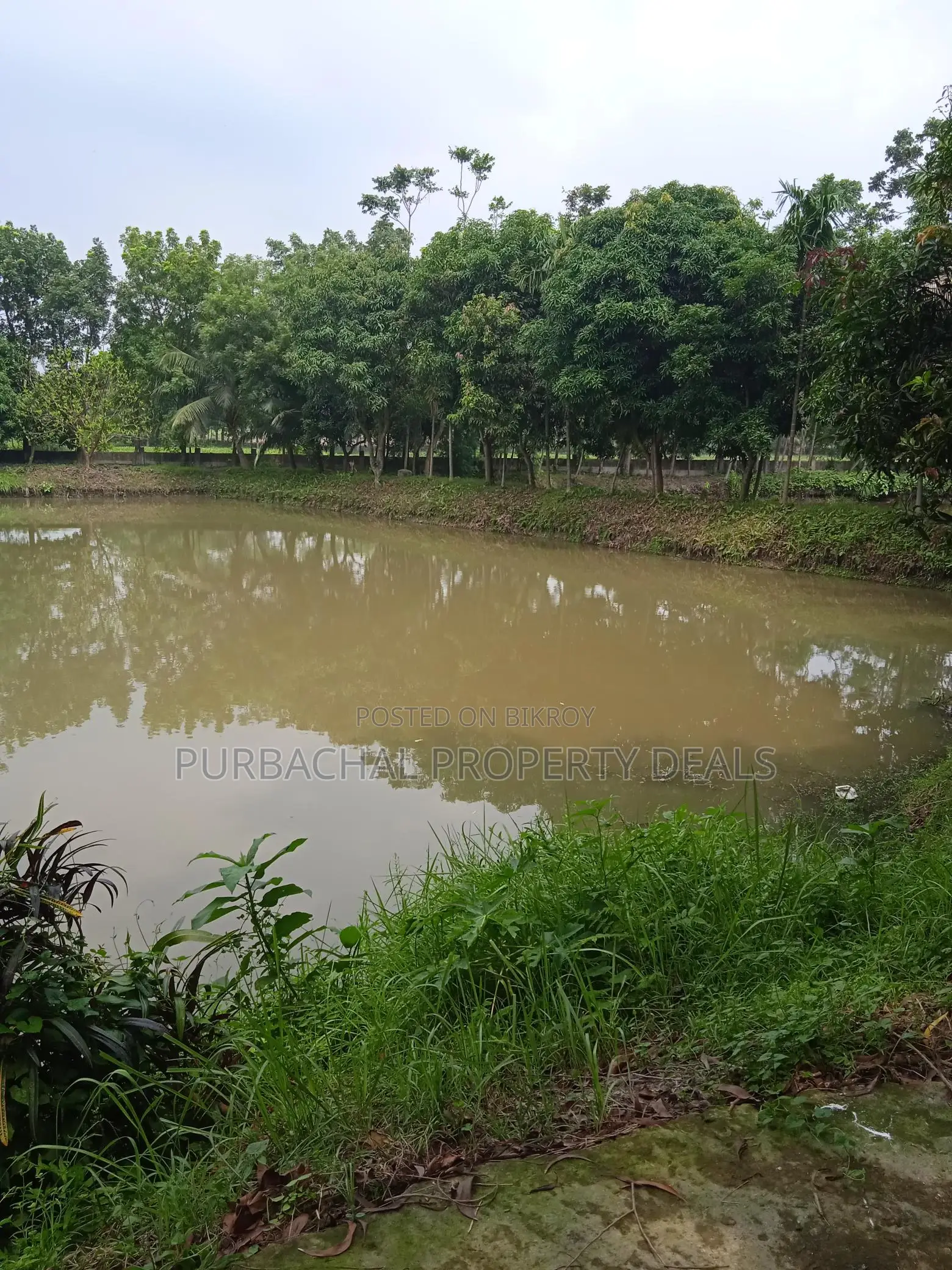Premium 7.5 Bigha Garden Estate – Select Investment, Gazipur in Gazipur