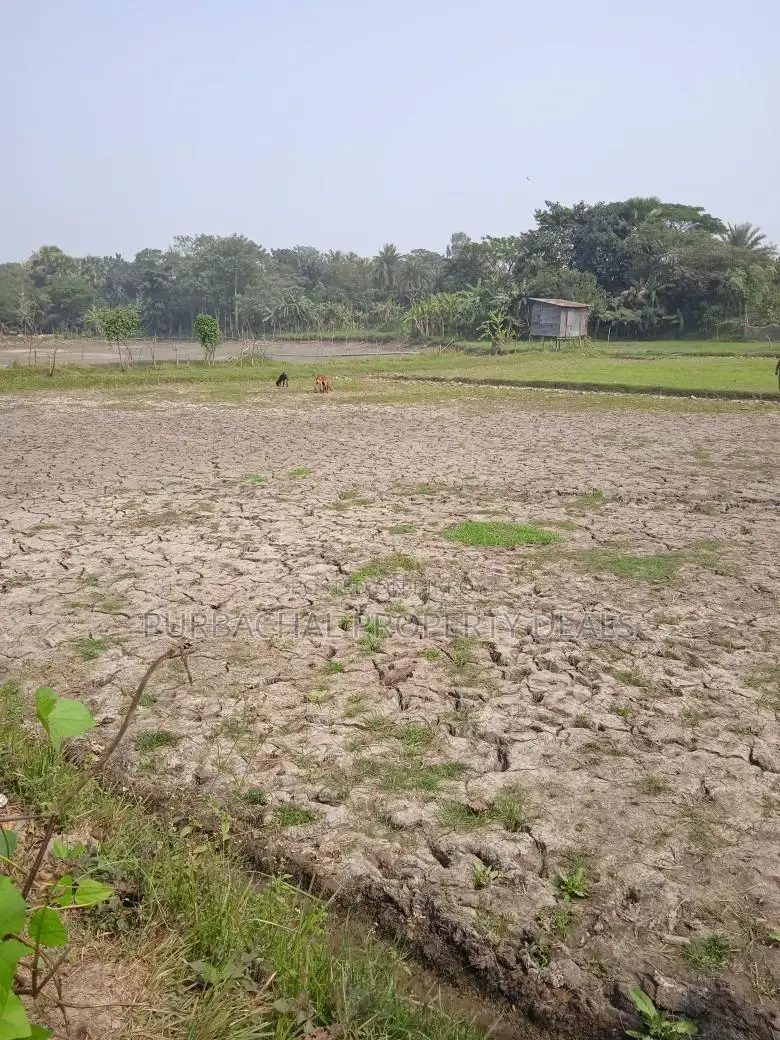 Dream Resort or Industrial Establishment, Build it Now on the Banks of Shitalakshya in Gazipur