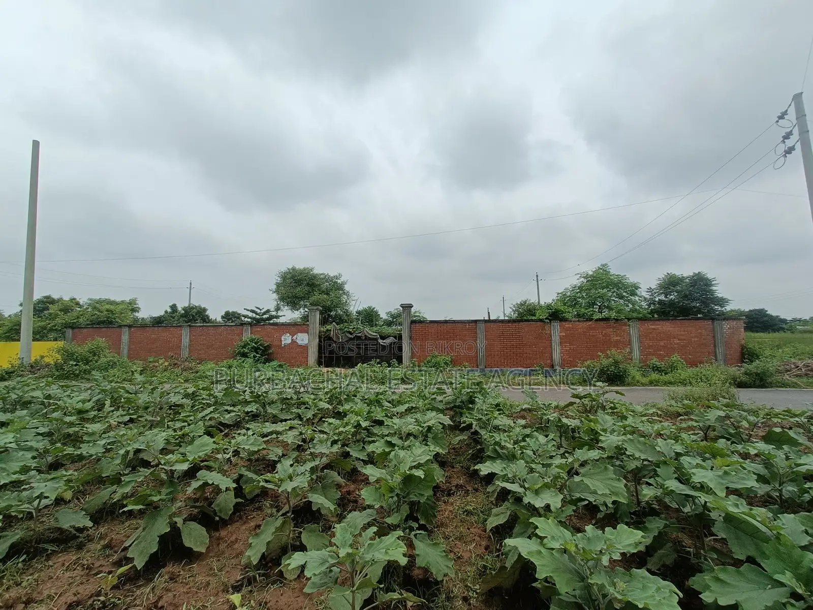 Nearby 150ft, South Face, 3 Katha Plot In Sec#25 in Purbachal