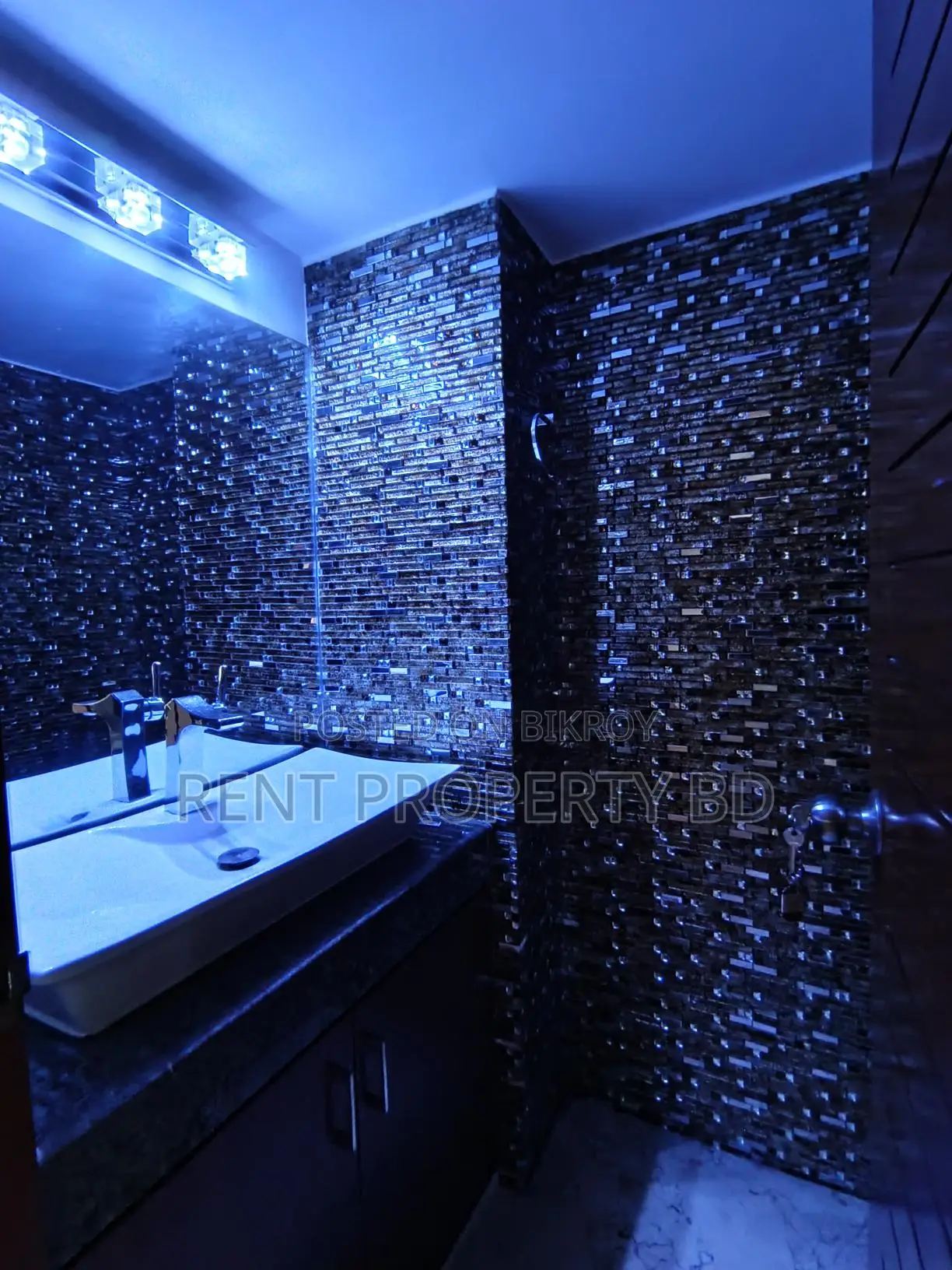 Luxury Duplex Fully Furnished Apartment Rent Banani in Banani