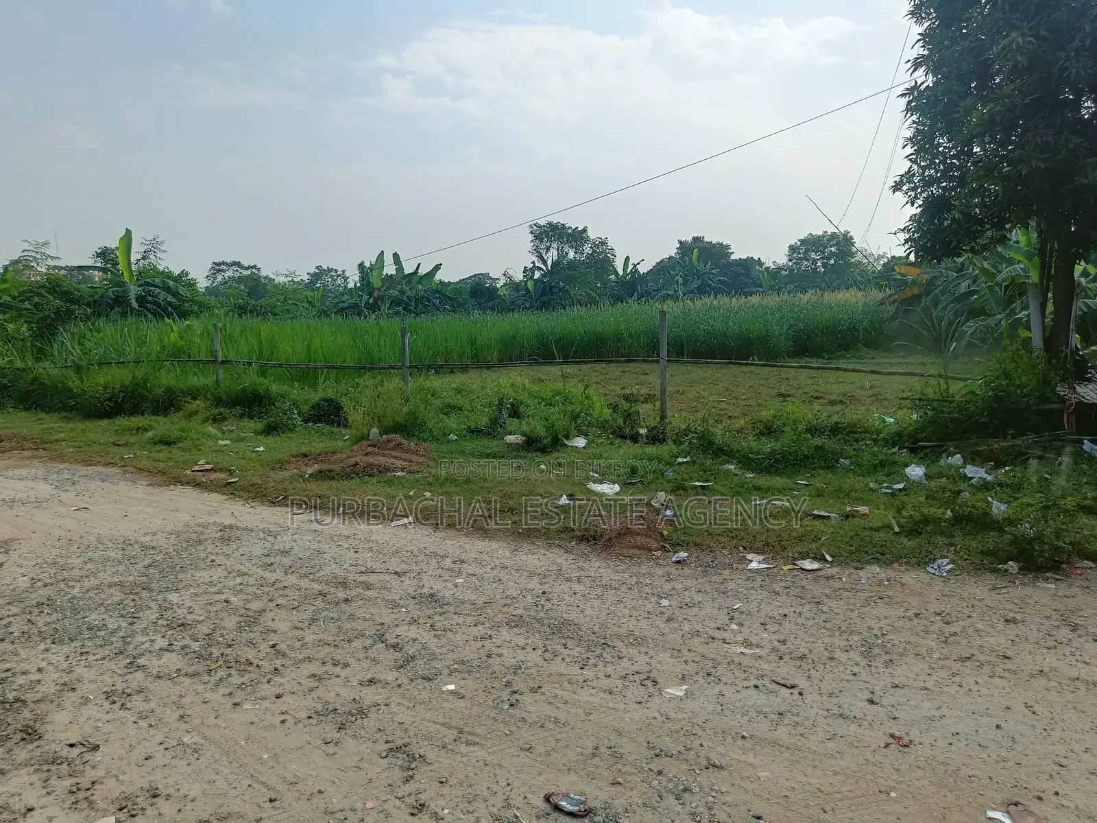 Near 300ft, East Facing, 5 Katha Plot In Sec#10 in Purbachal