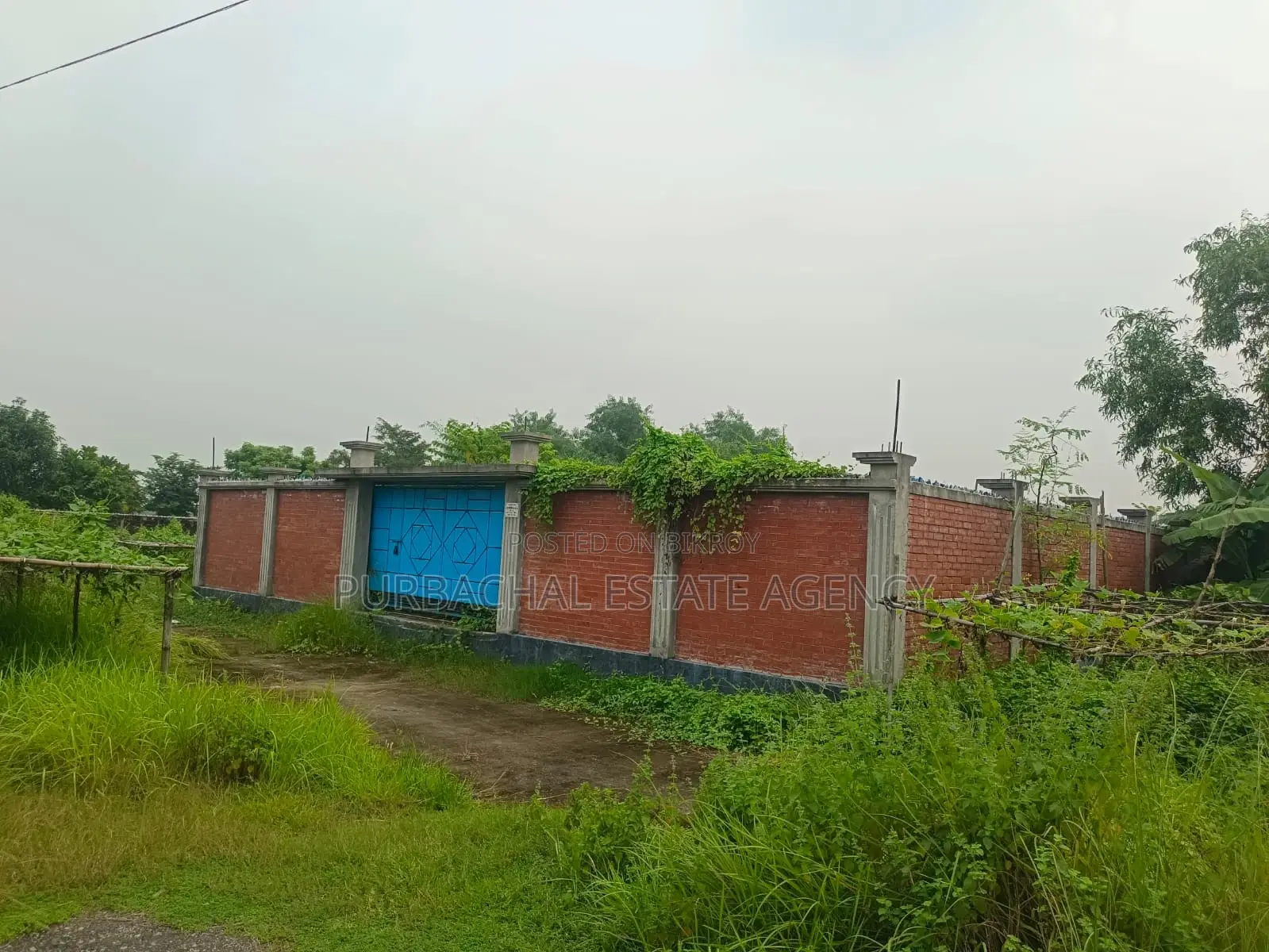 East Facing, 5 Katha Plot In Sec#23 in Purbachal