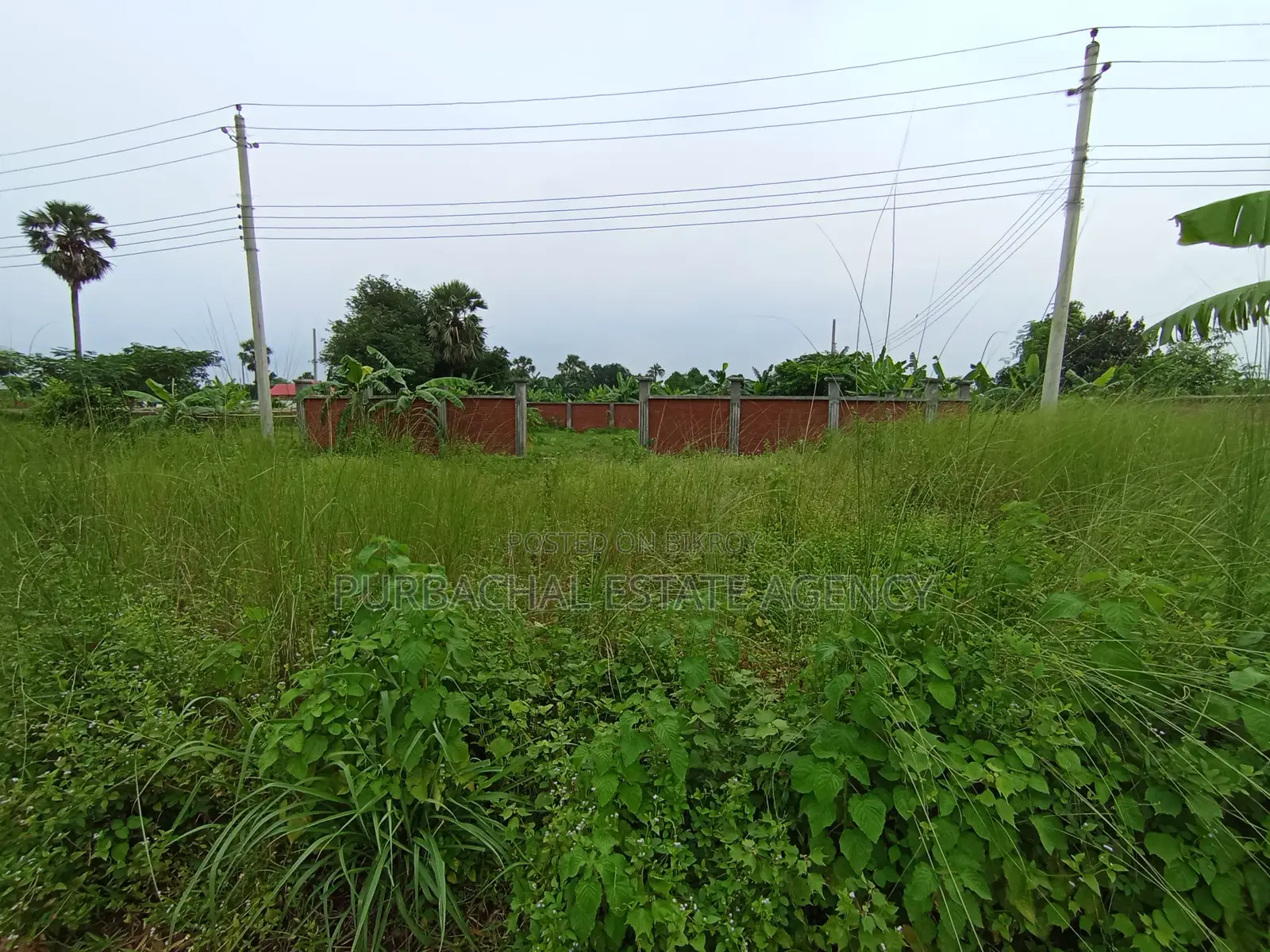 East Facing, 5 Katha Plot In Sec#25 in Purbachal