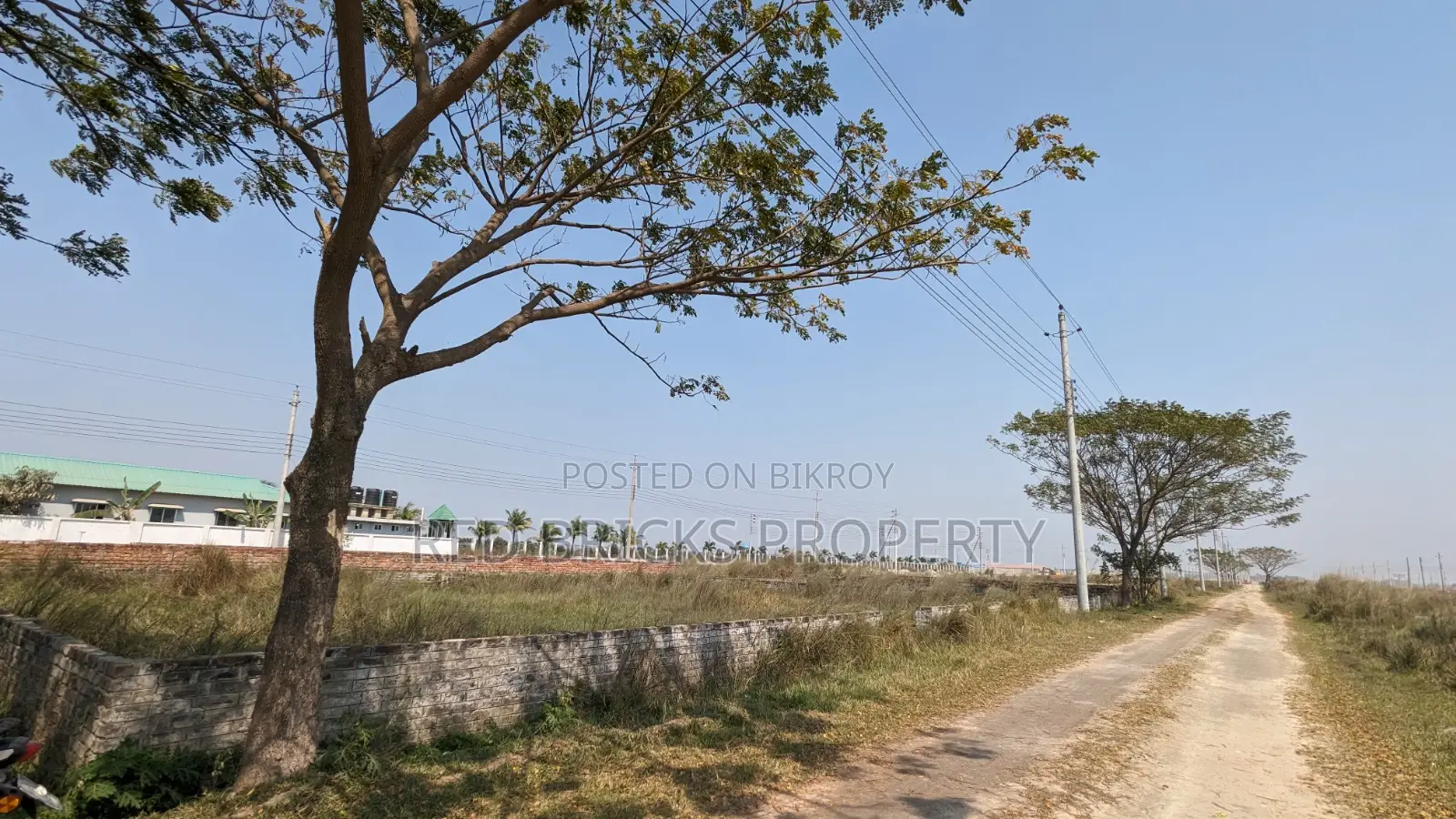 3 Katha Ready Plot | Block P, Bashundhara R/A in Basundhara
