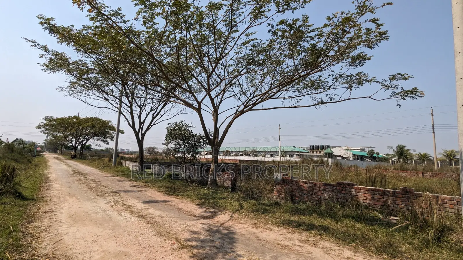 3 Katha Ready Plot | Block P, Bashundhara R/A in Basundhara