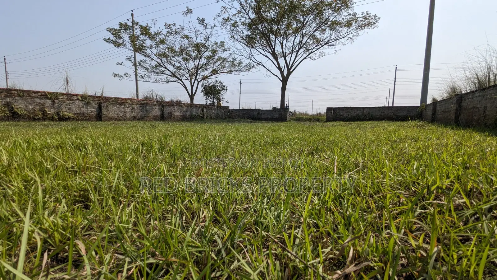 3 Katha Ready Plot | Block P, Bashundhara R/A in Basundhara