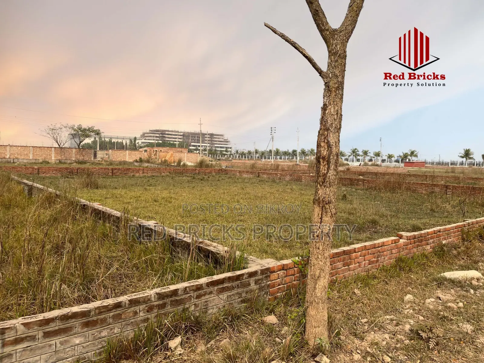 South Facing 3 Katha N Block Plot For Sale In Bashundhara R/A Dhaka in Basundhara