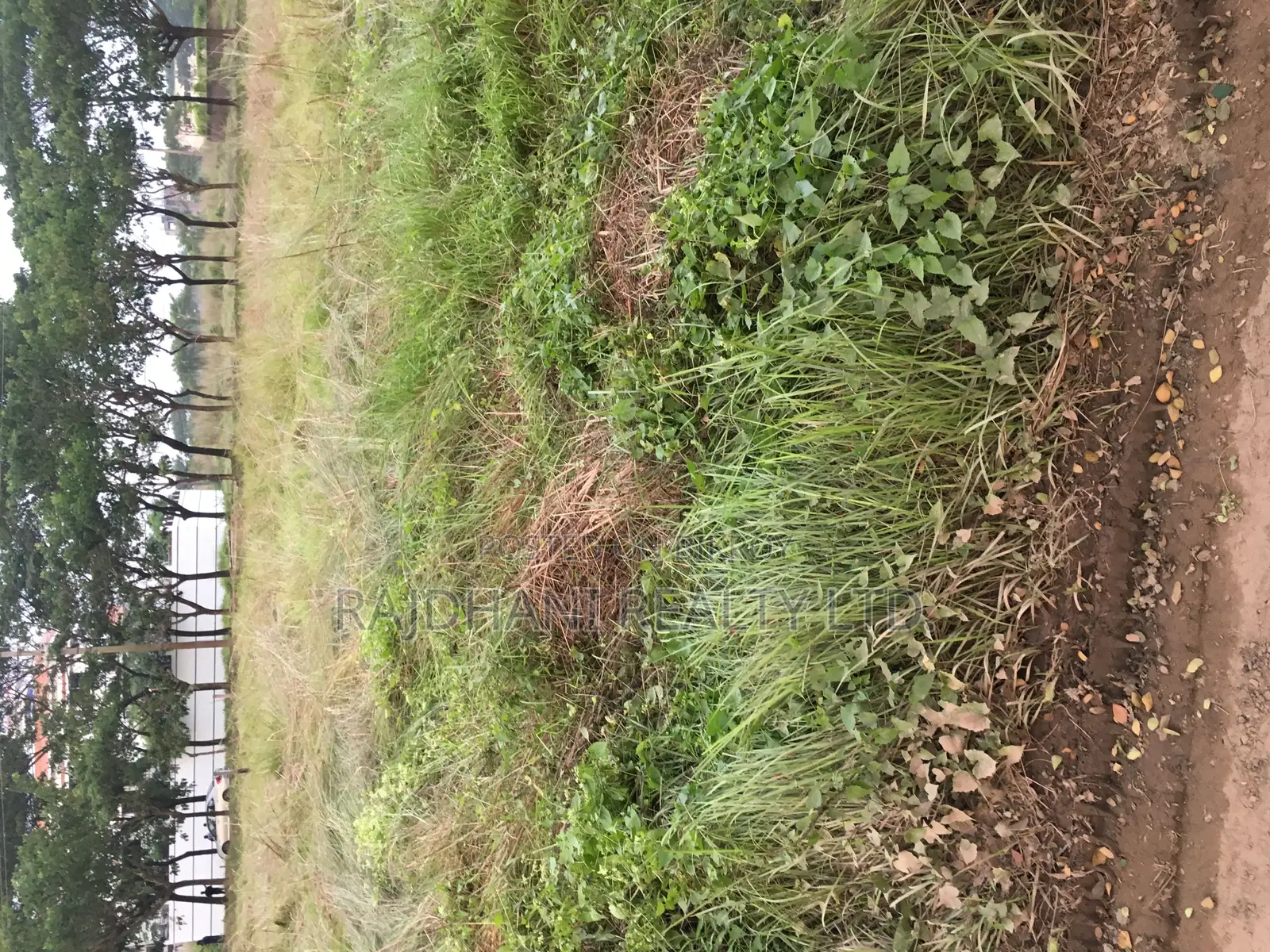 5 Katha Plot for Sale in P Block, Bashundhara Residential Area. in Basundhara