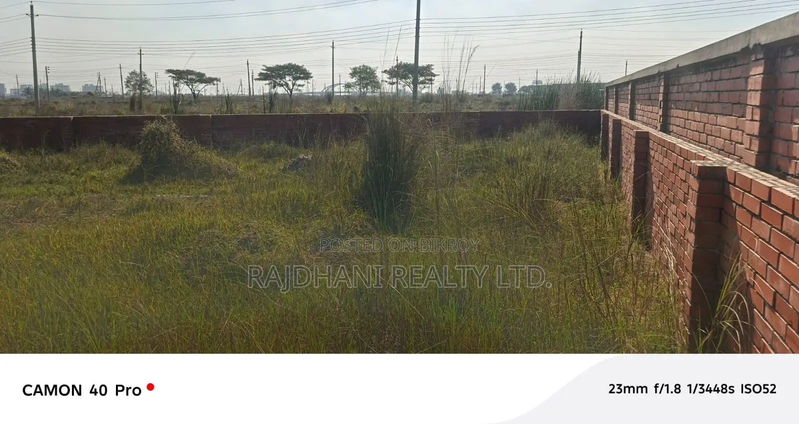 20 Katha Plot for Sale in N Block, Bashundhara Residential Area. in Basundhara