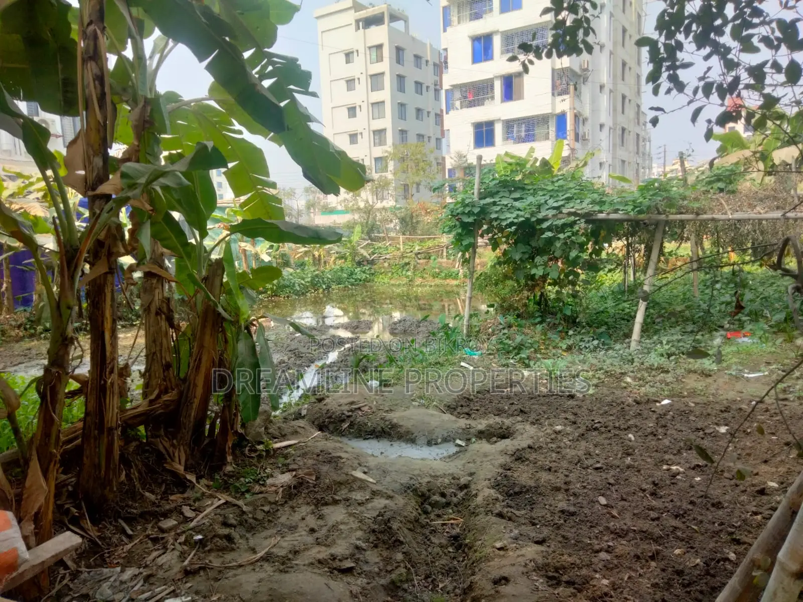 6 katha plot sell in bashundhara residential area in Basundhara