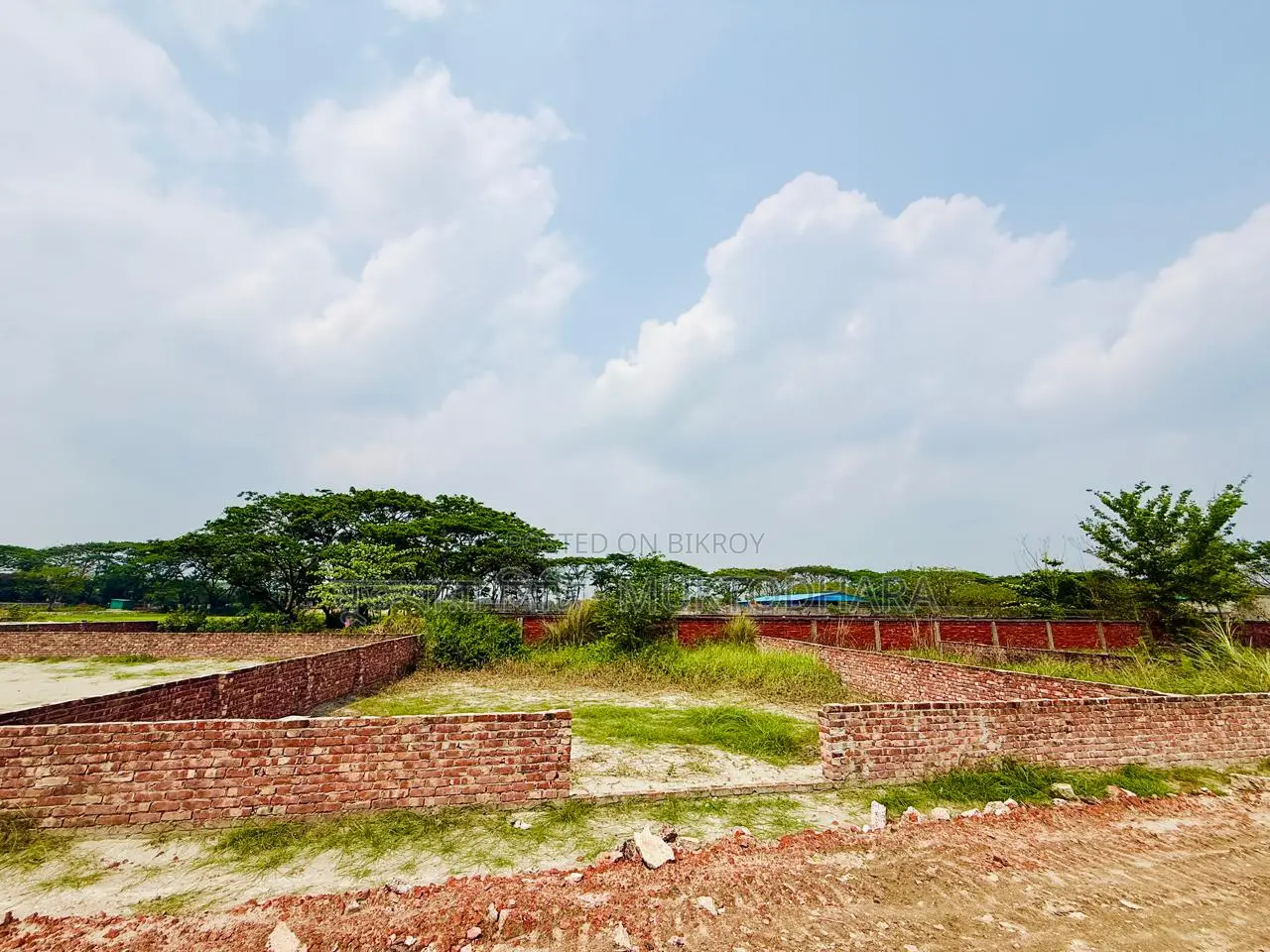Turn Your Investment into Reality in Dhanmondi