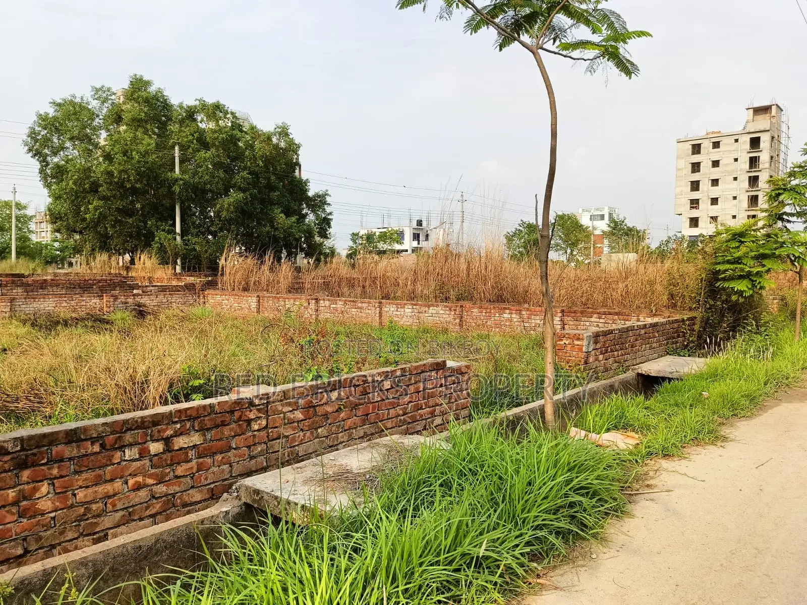 Prime 3-Katha Land in M Block – Bashundhara Baridhara in Basundhara