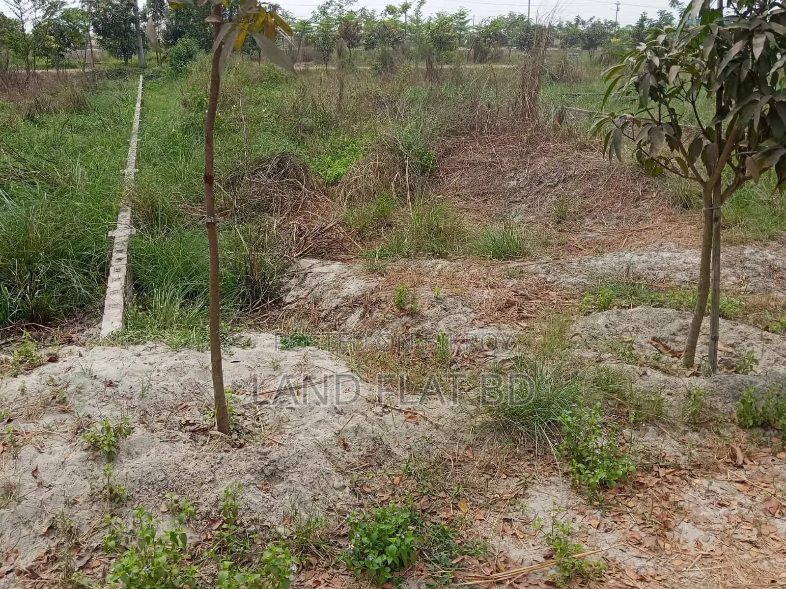Ati Model Society @ Ready-to-Build 3.30 Katha Plot for Sale in Mohammadpur