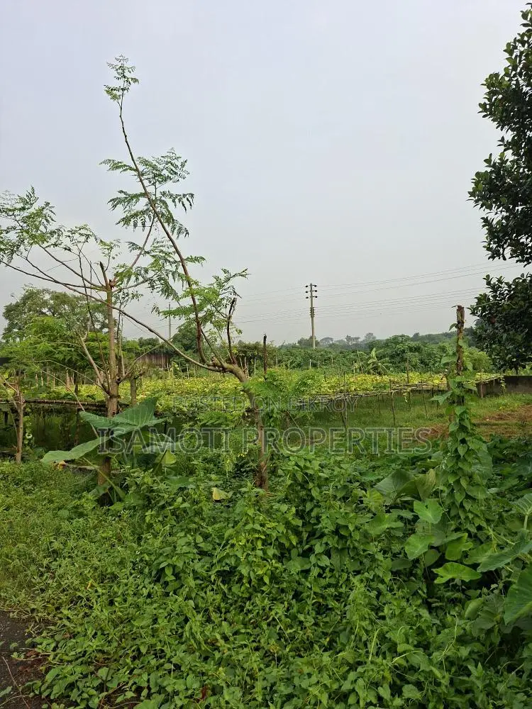 Lake View 7.5 Katha Plot for Sale Sector 26 in Purbachal
