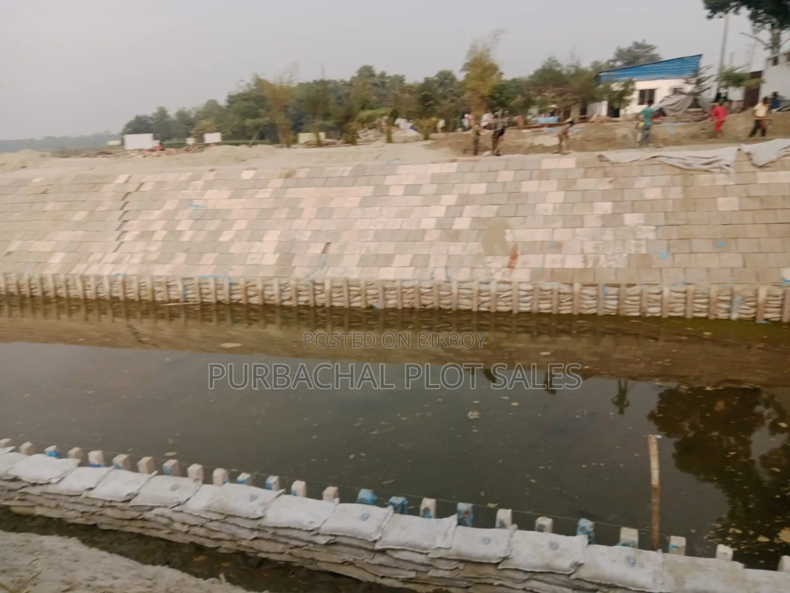 Buy a plot at a one-time price in Pine City in Purbachal