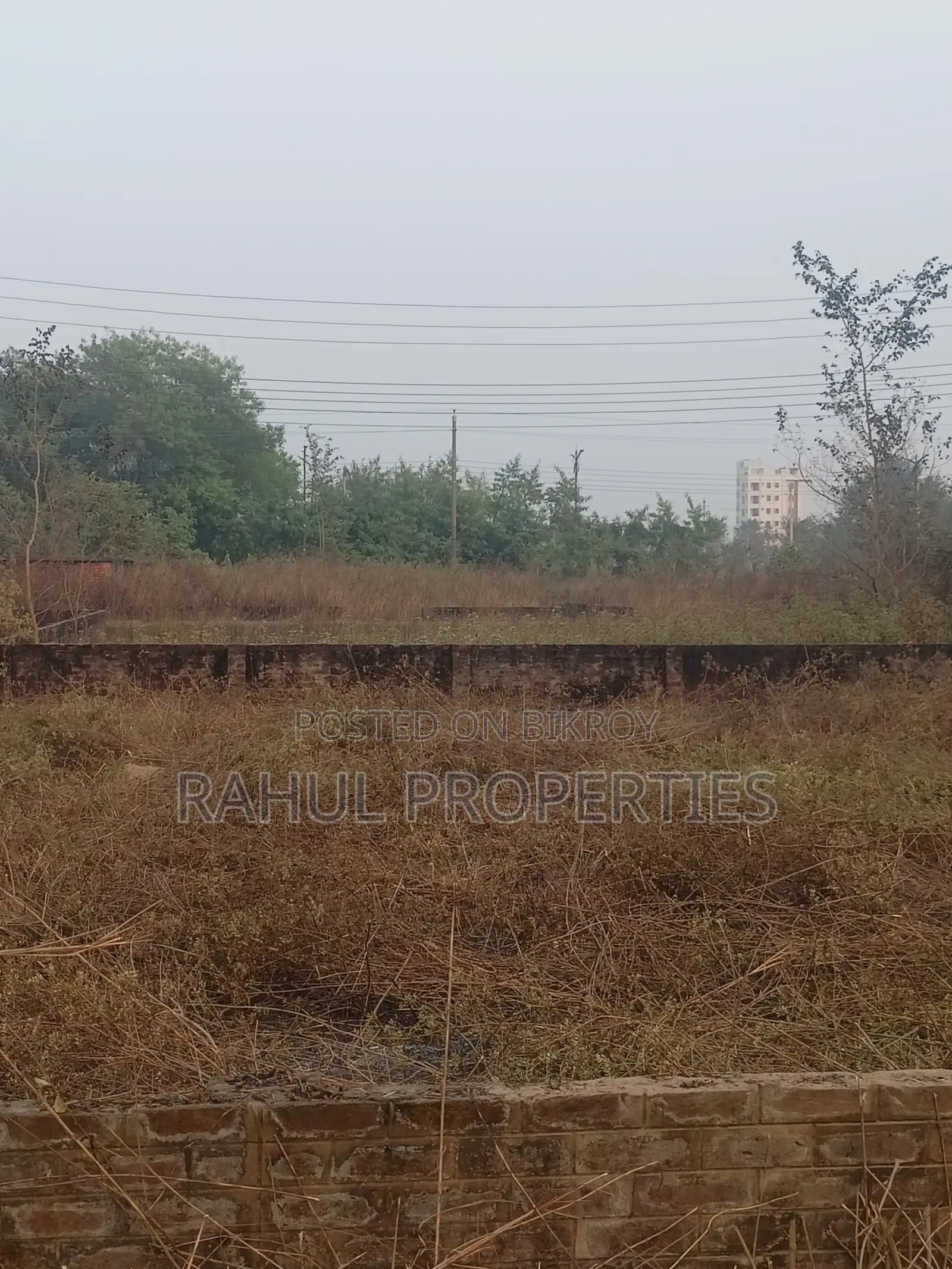 L-Block || 4 Katha Land Sale|| In Bashundhara in Basundhara