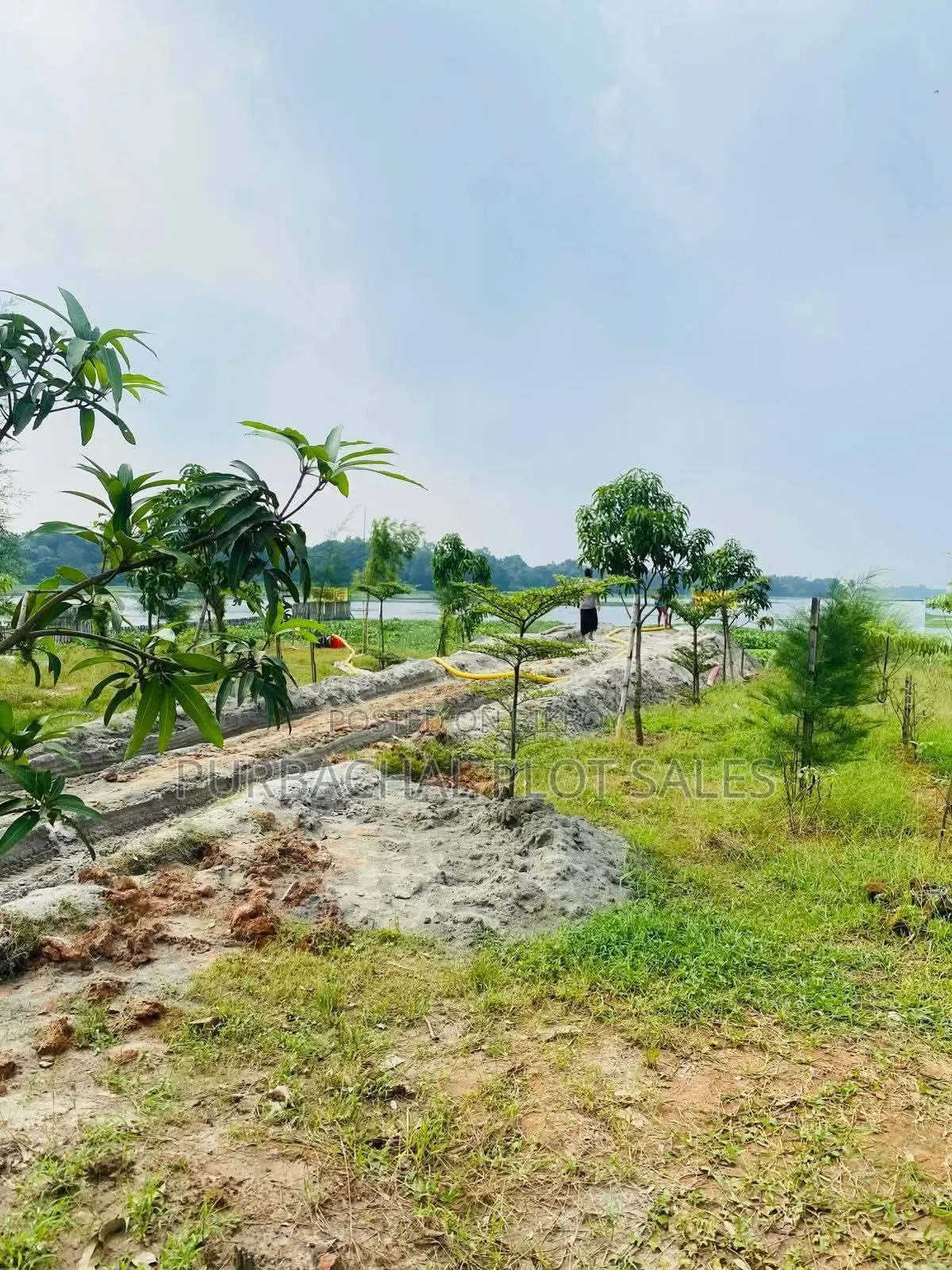 Buy Plots on Installment! 3, 5, and 10 Katha Plots! in Purbachal