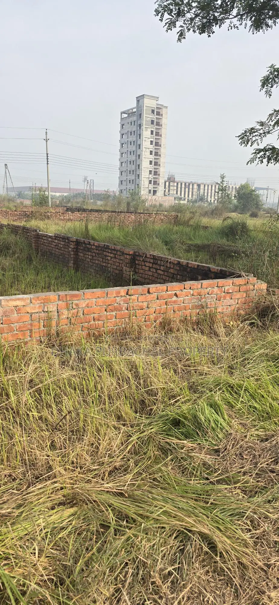 10 Katha South-Facing Plot for Sale on 60' Wide Road, Bashundhara R/A, Block-N in Basundhara