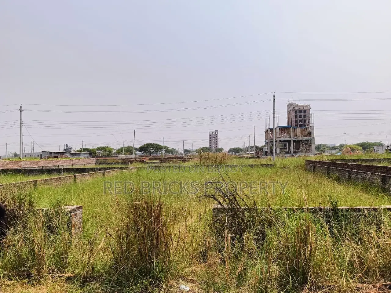 M Block 3 katha Plot sell closed 300 feet Bashundhara R/A in Basundhara
