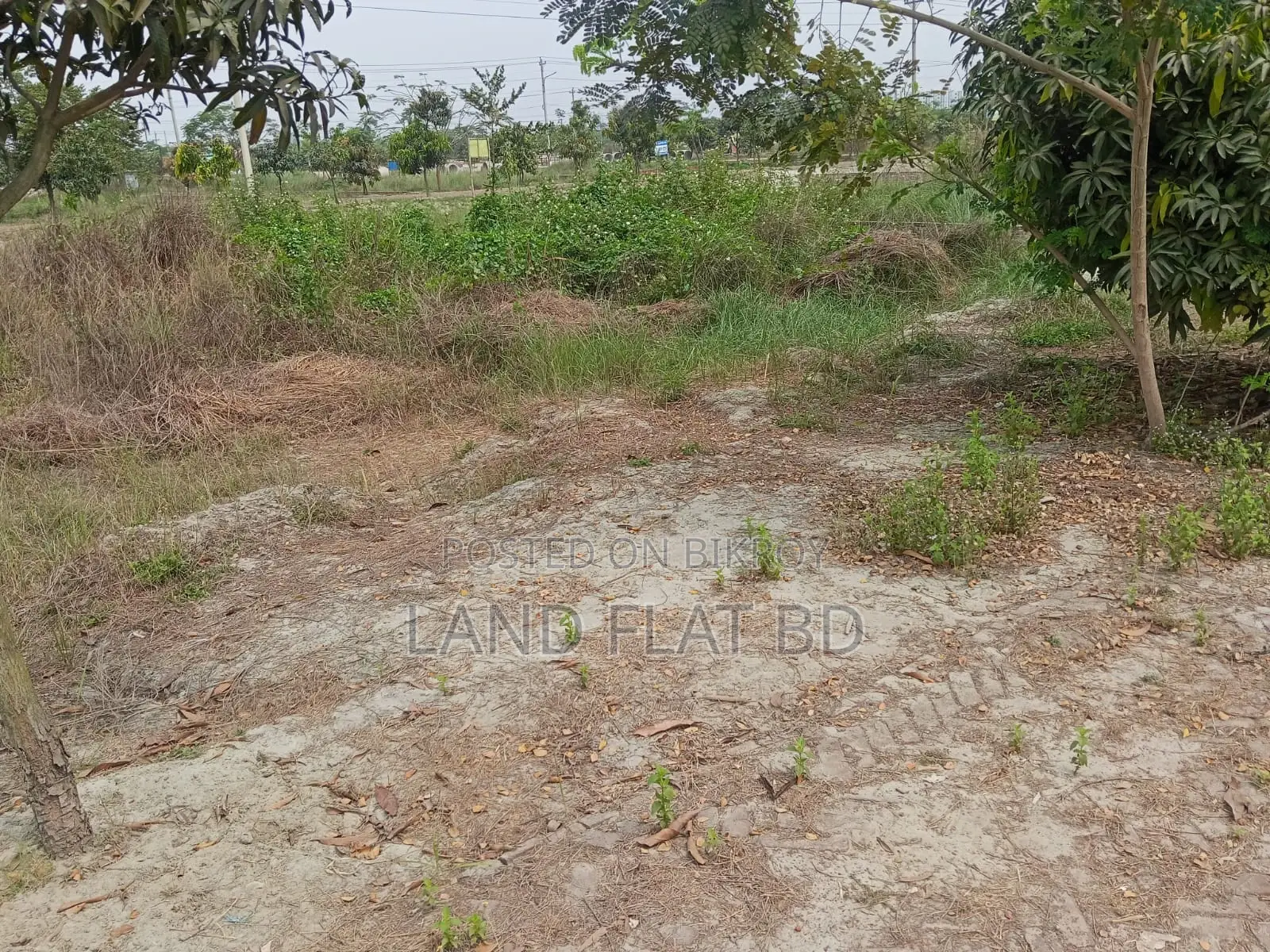 South-Facing @ 4 Katha Plot for Sale, Ati Model Society in Mohammadpur