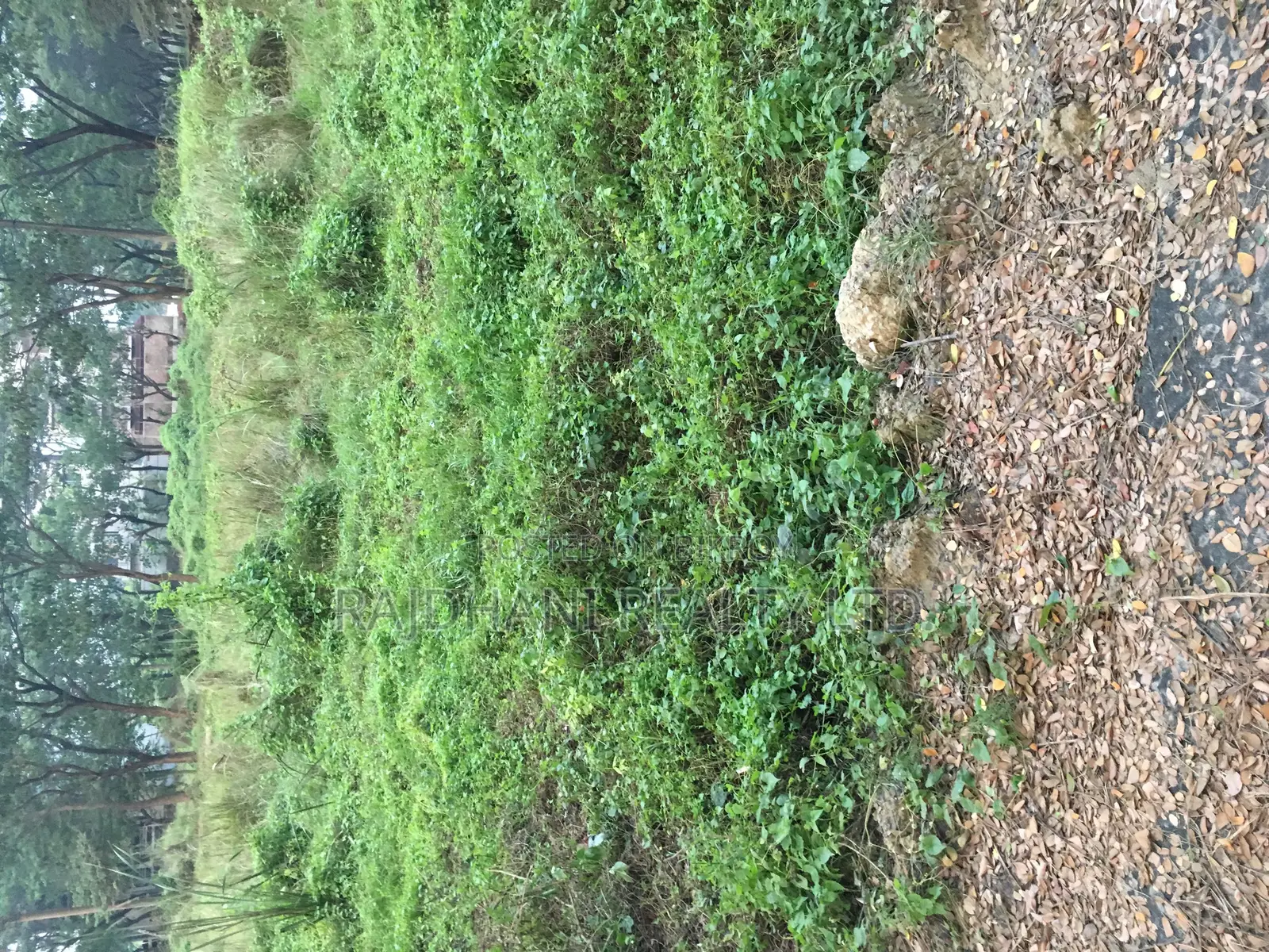03 Katha Plot for Sale, N Block, Bashundhara Residential in Basundhara