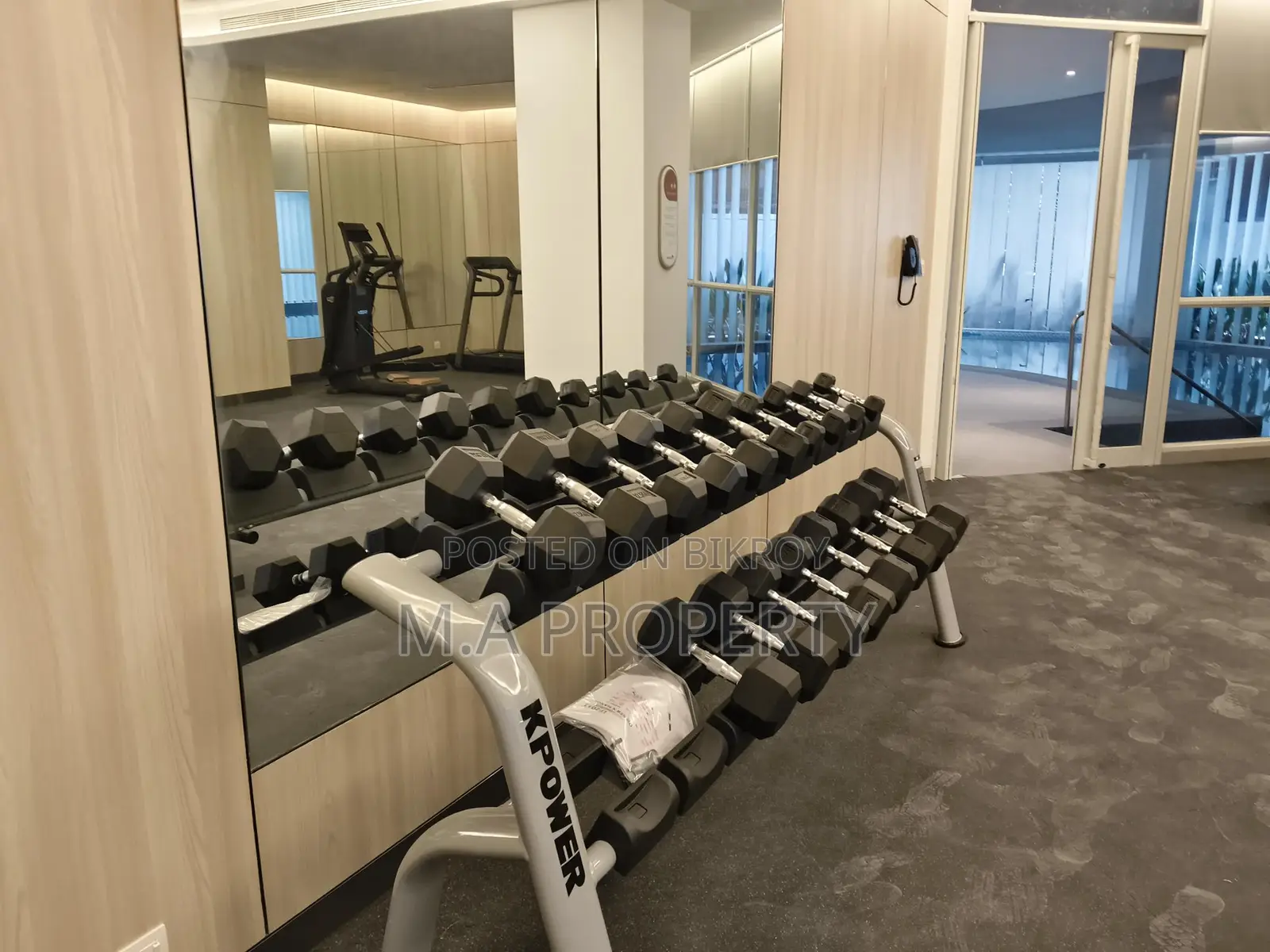 Rent New Luxurious Decorated 4-Bed, 7500sqft, 2-Carpark in Gulshan