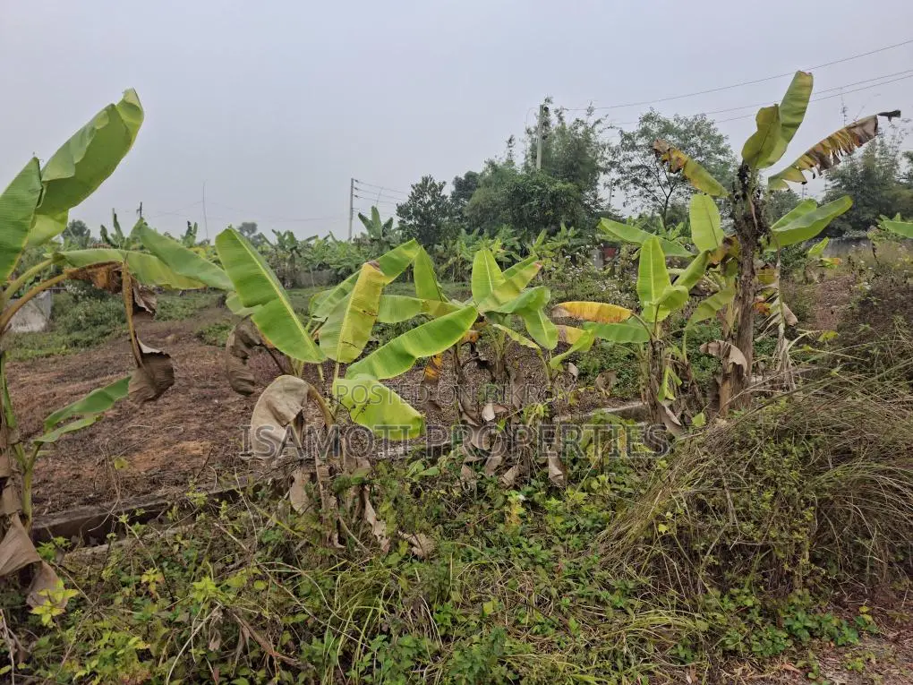 5 Katha Plot for Sale in Sector 28, Near 150ft Road in Purbachal