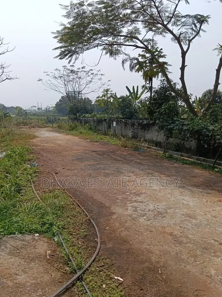Block-L, 40 Feet Road 3+3=6 Katha Plot Sale in Basundhara