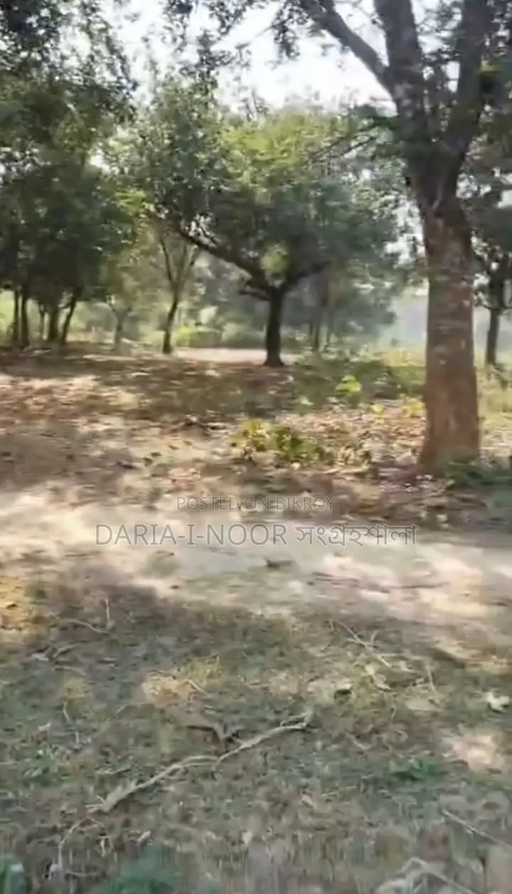 17 Bigha Land for Sale, 8km from Dhaka-Mymensingh Road in Gazipur