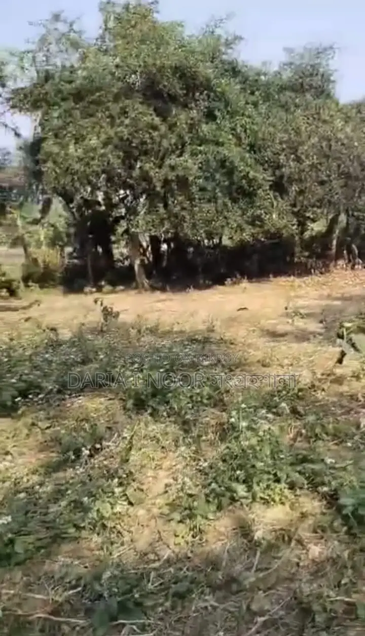 17 Bigha Land for Sale, 8km from Dhaka-Mymensingh Road in Gazipur
