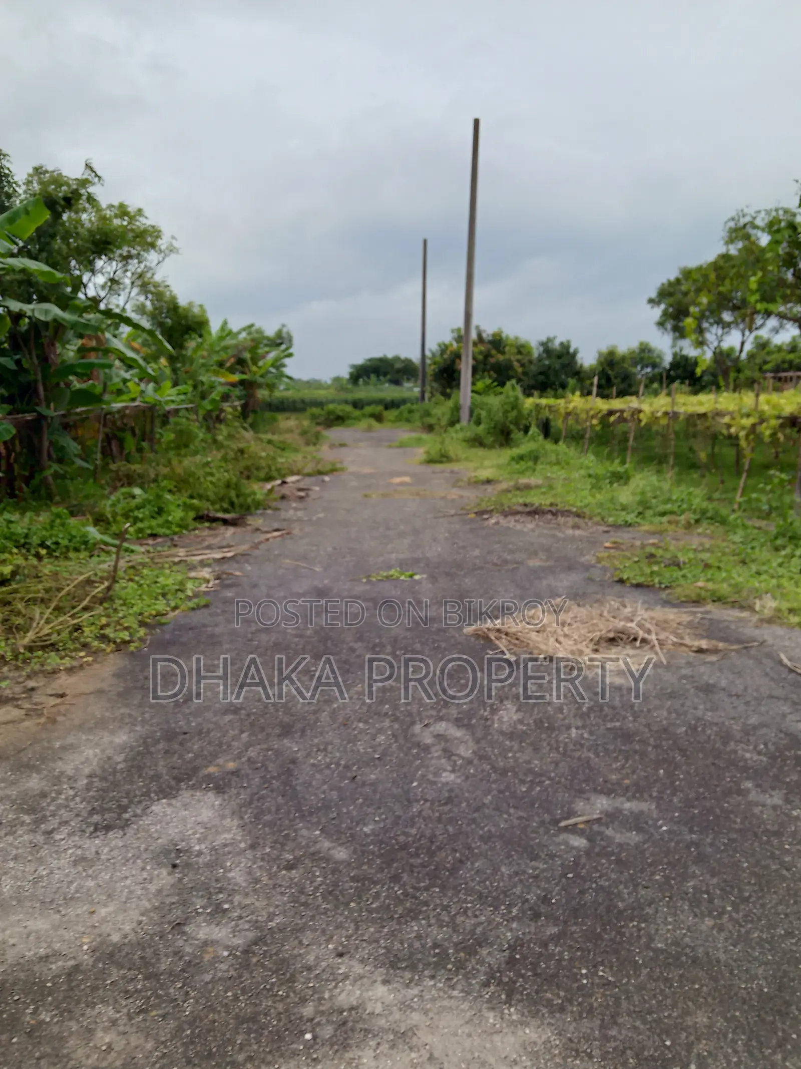 Front Opening 5 Katha North at Sector-29 in Purbachal