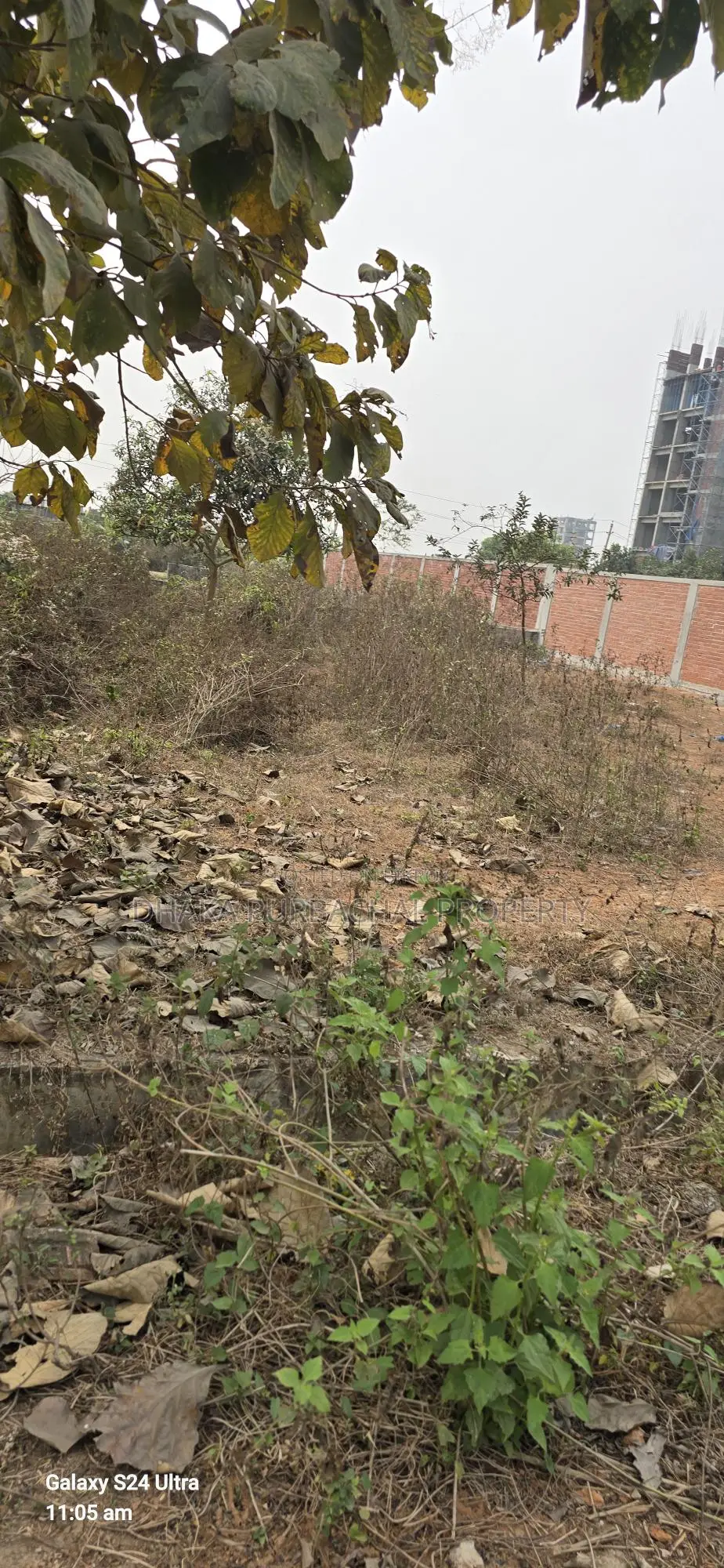 South-Facing Plot in RAJUK Purbachal Sector 8 in Purbachal