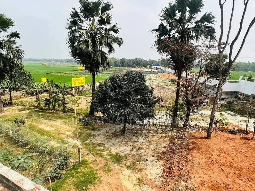 Buy a plot! Right next to Purbachal! Pine City! in Purbachal