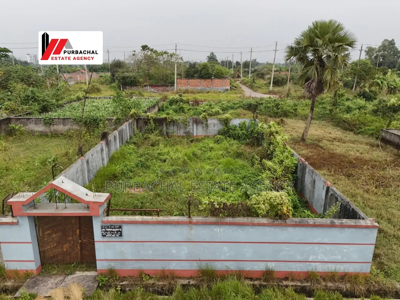 East Face, 5 Katha Plot In Sec#23 in Purbachal