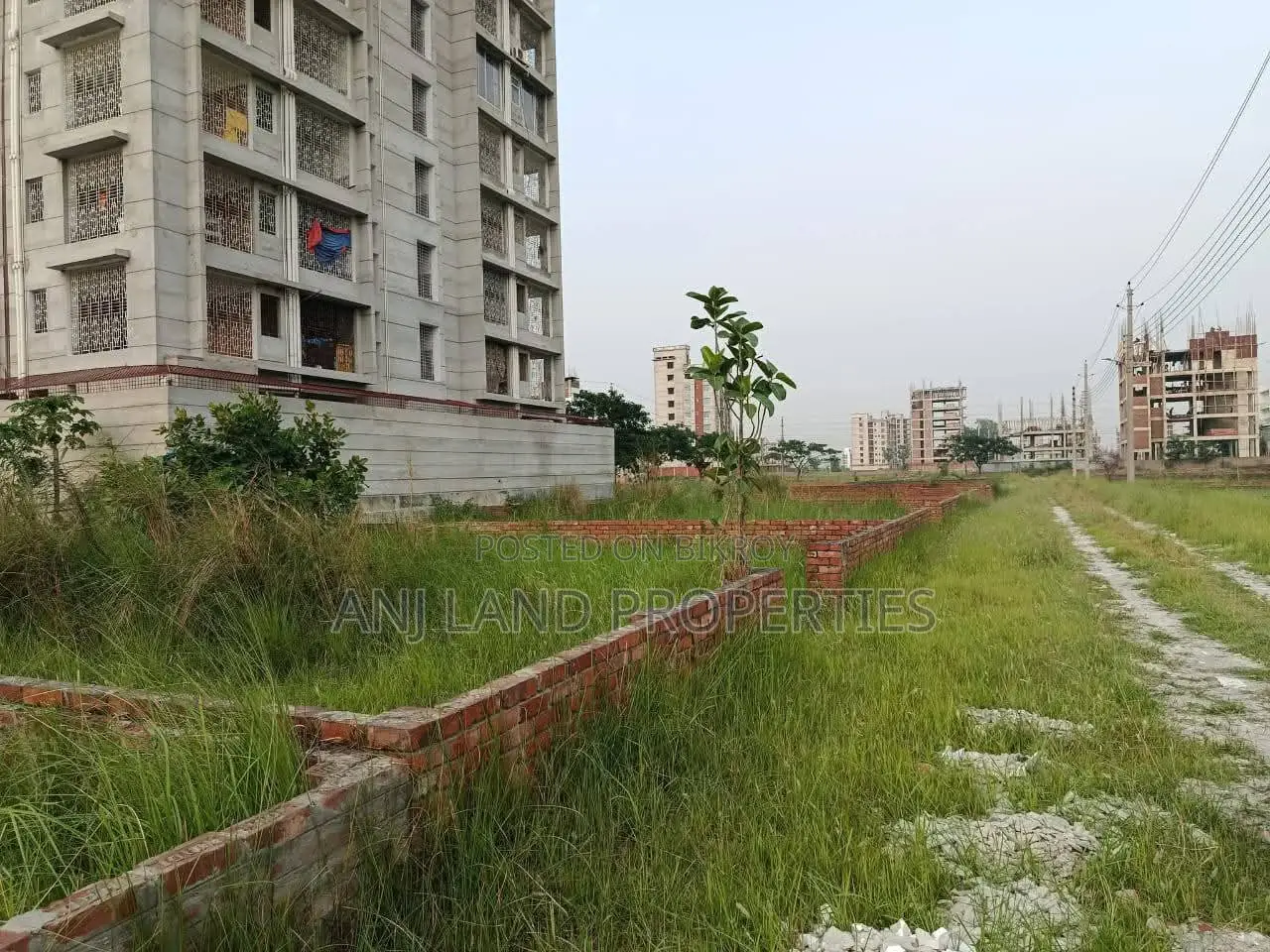 M-Block 3-Katha South Facing Plot for Urgent Sale Near 200 Feet Road in Basundhara