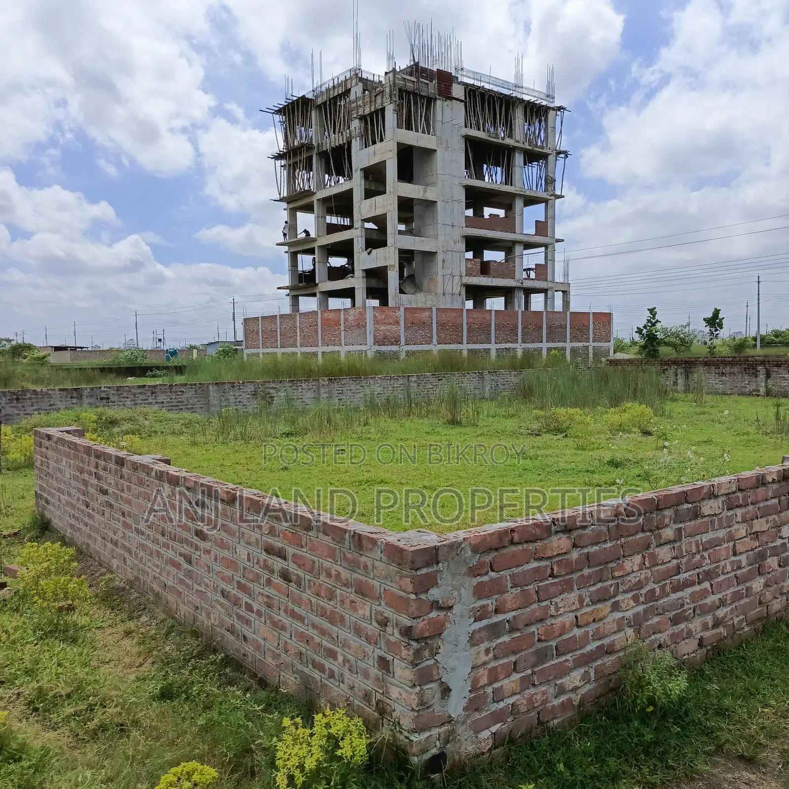 M-Block 3-Katha South Facing Plot for Urgent Sale Near 200 Feet Road in Basundhara