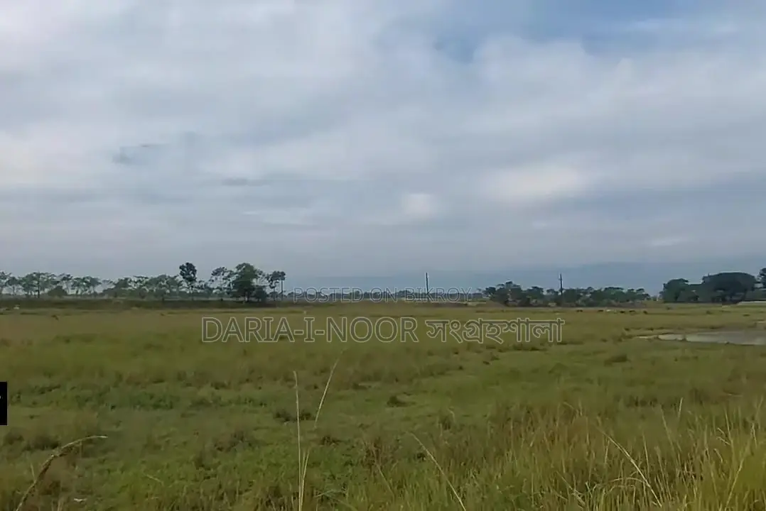 73 Bigha Land for Sale in Two Plots in Companiganj, Sylhet in Companiganj