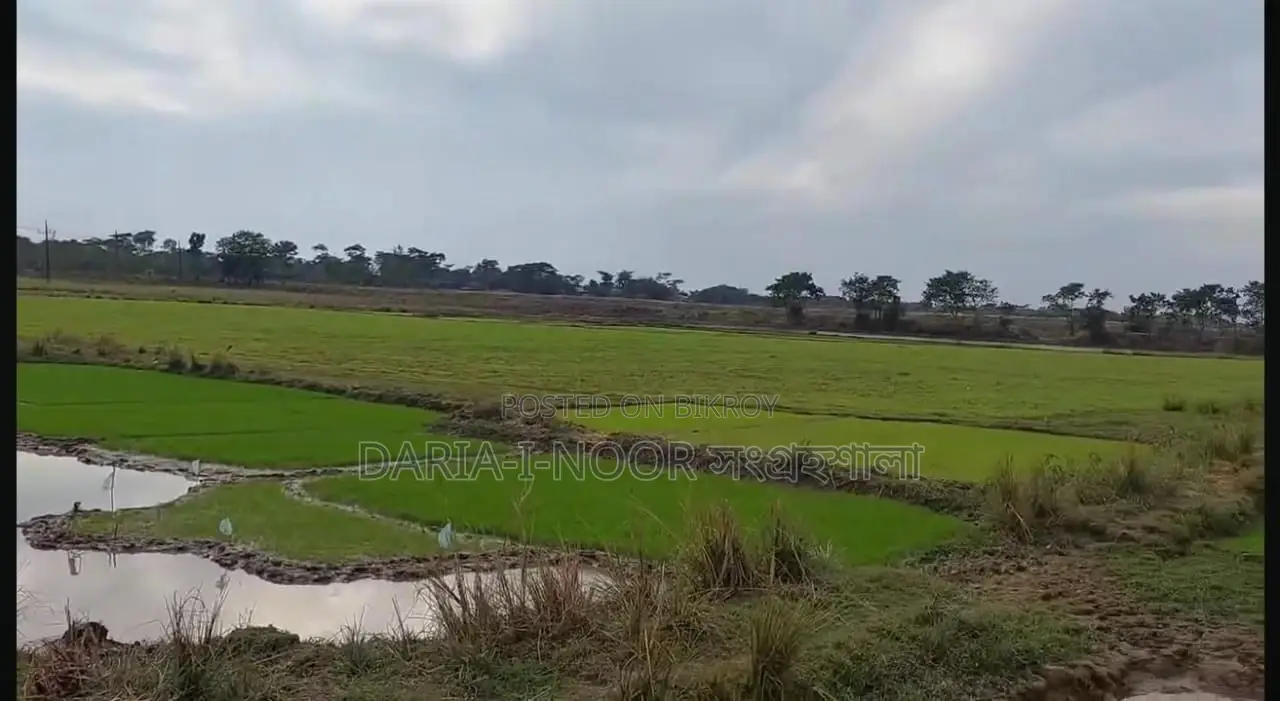 73 Bigha Land for Sale in Two Plots in Companiganj, Sylhet in Companiganj