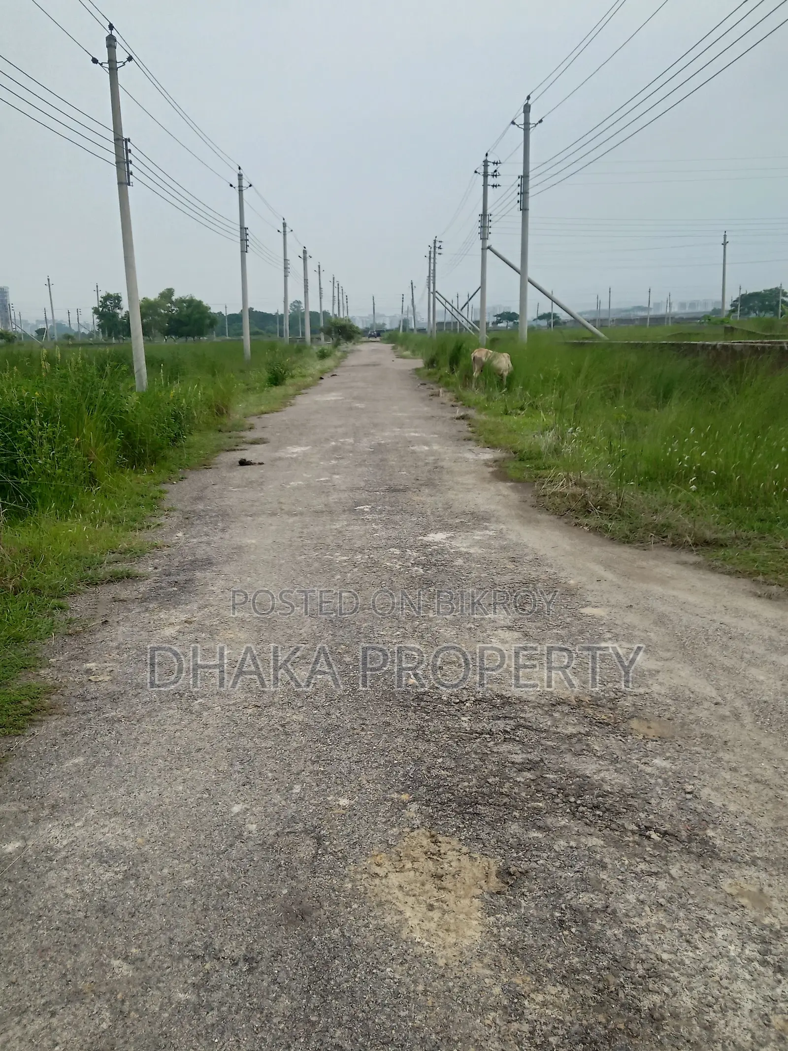 6 Katha Land, South Facing, Sector-16/H, 30ft Road in Uttara