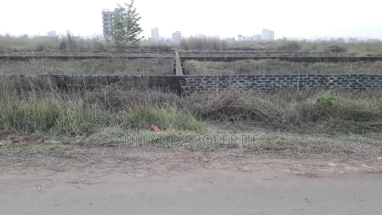 N-Block 9-Katha Plot Sale including all in Basundhara